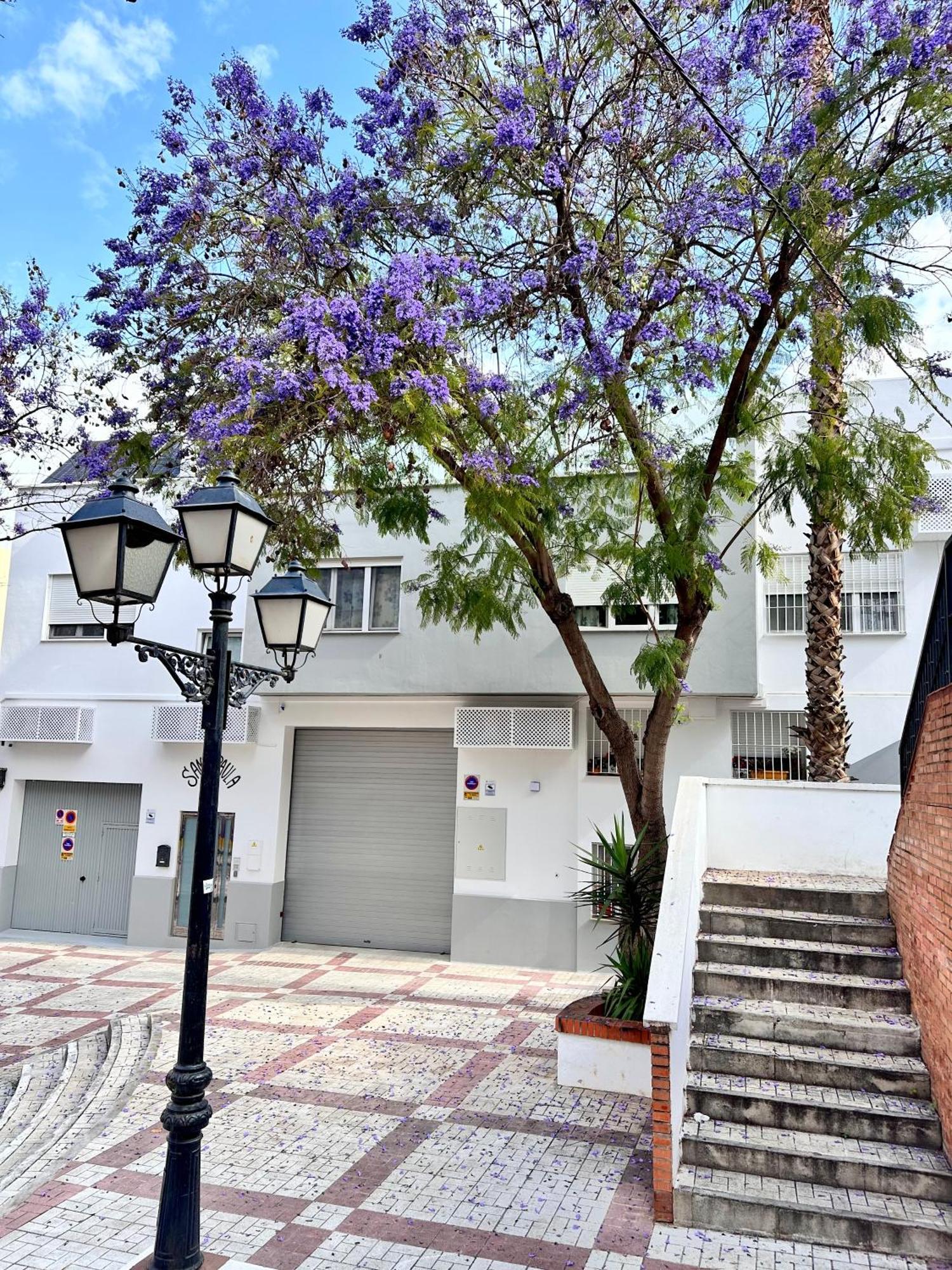 Paraiso De Santa Paula